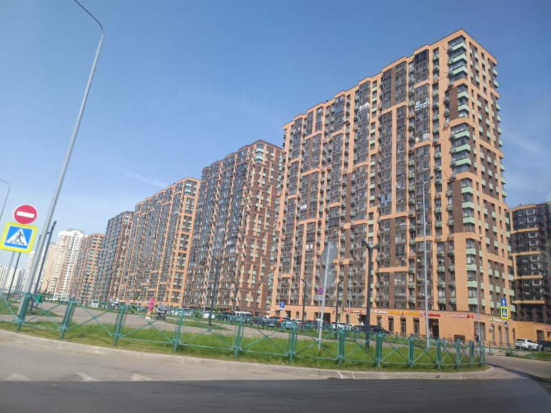 Муравейники в Железндорожном