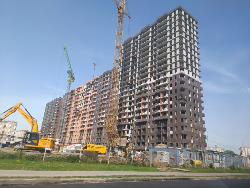 Муравейники в Железндорожном