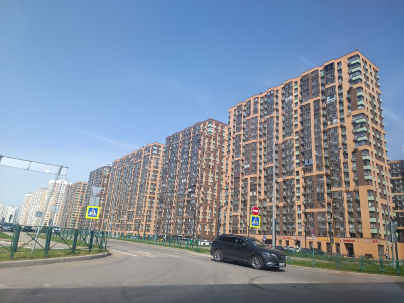 Муравейники в Железндорожном