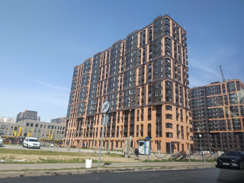 Муравейники в Железндорожном