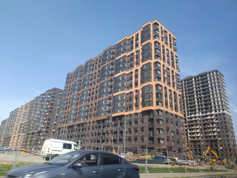 Муравейники в Железндорожном