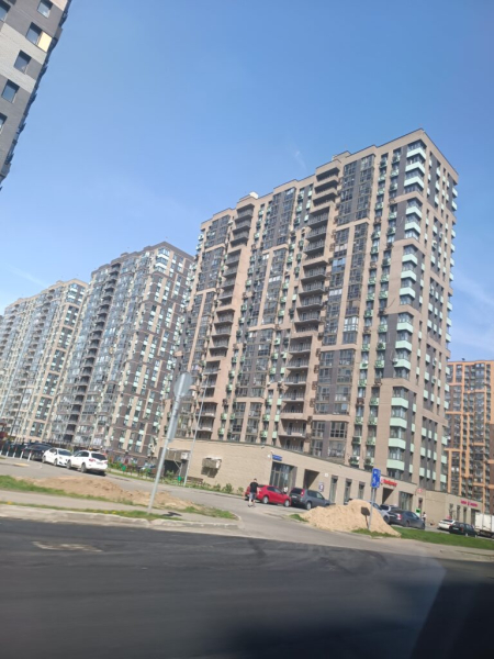 Муравейники в Железндорожном