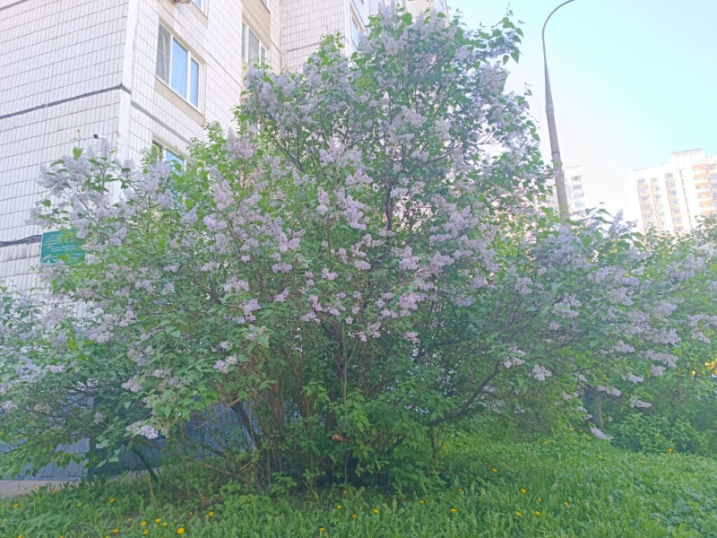 Побывал на улице Герасима Курина