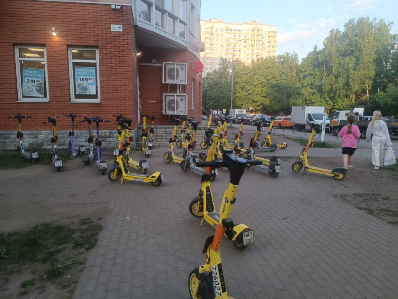 Самокатное безумие
