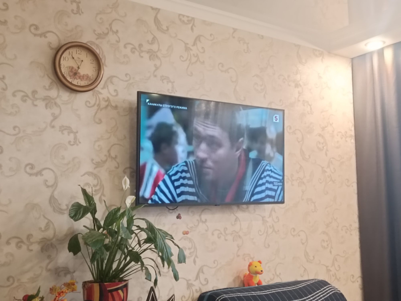 Смотрим «Каникулы строгого режима»