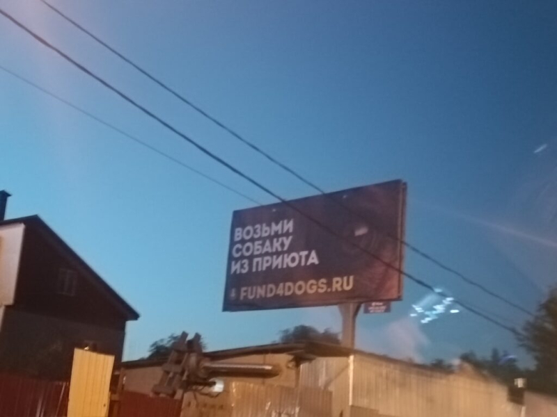 Инга-стайл 23 мая 2026