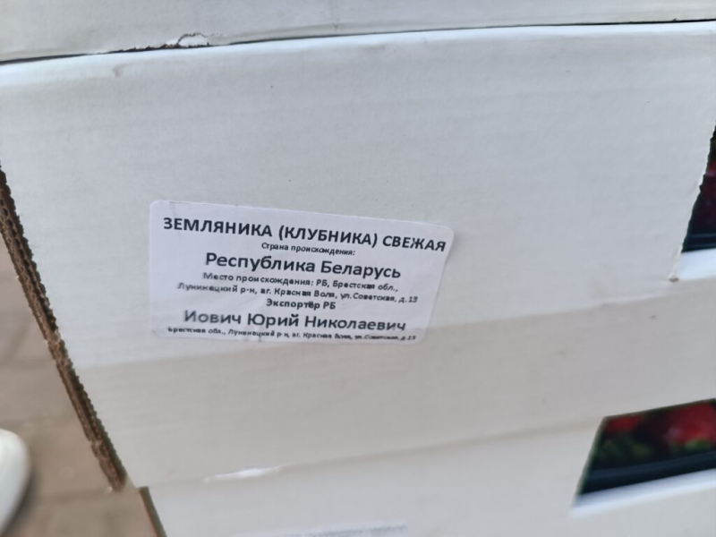 Клубничка от «сябров»