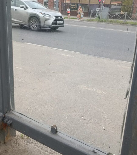 Комар бился о стекло