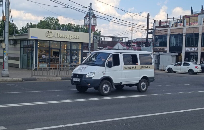 Народная дружина