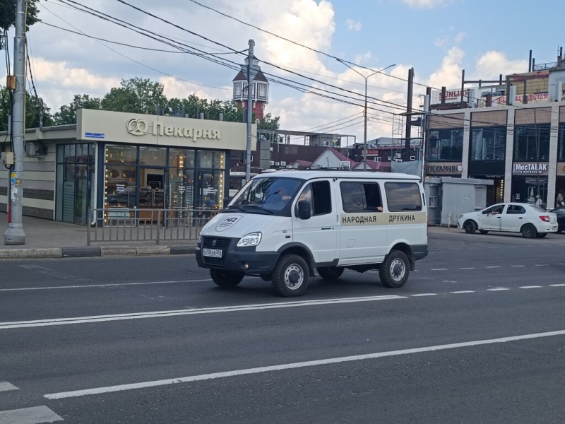 Народная дружина