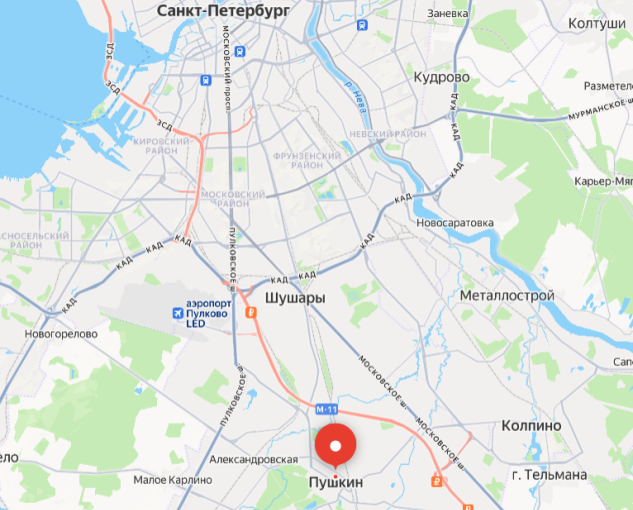 Шарик съебался в Пушкин