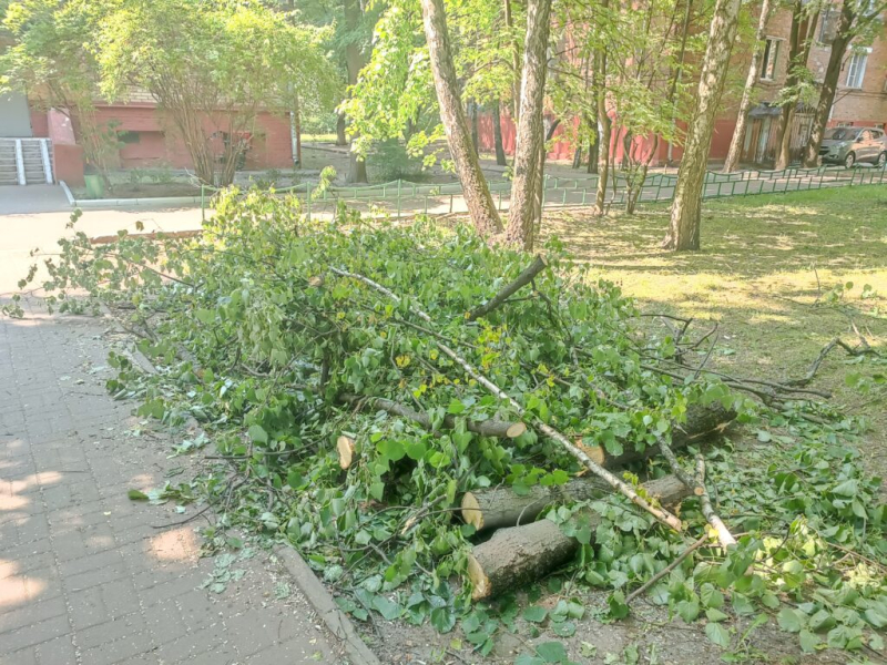 Завал и распил