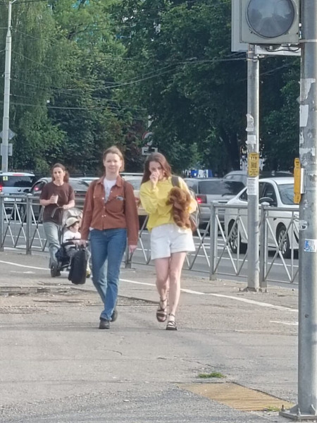 Два мальтипу в одном месте в одно время 13 июля 2026