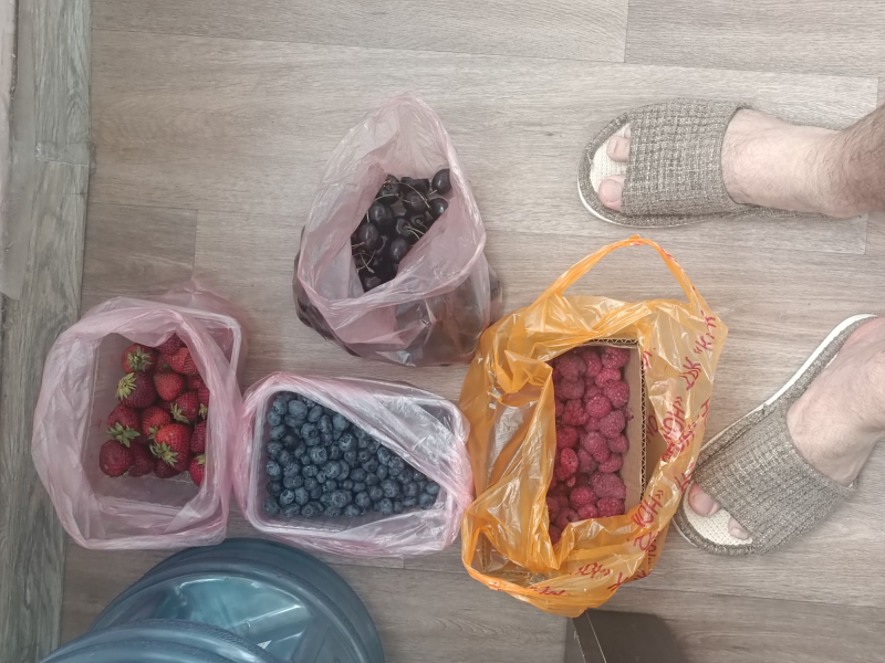 Ягодно