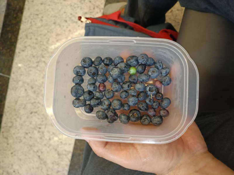 Кус-кус в аэропорте