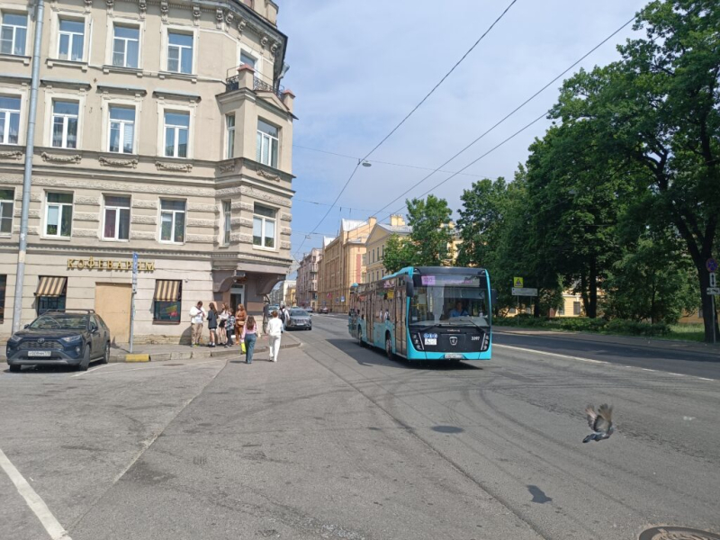 Питерский наземный транспорт