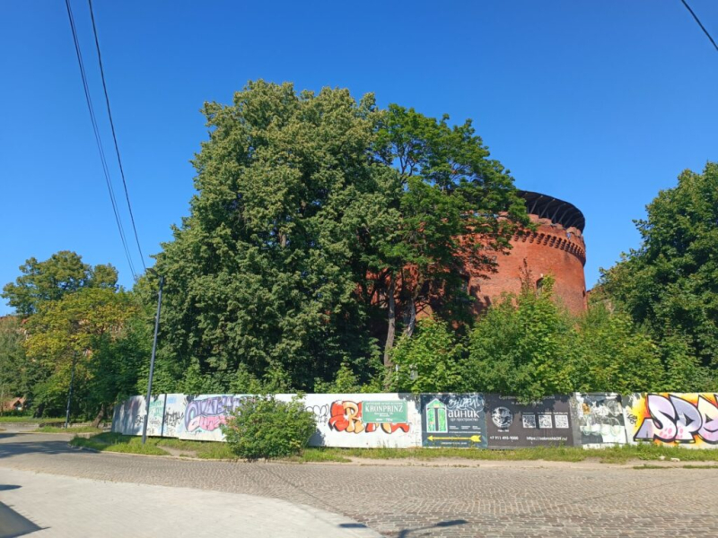 Пришли в музей Кронпринц 15 июля 2026