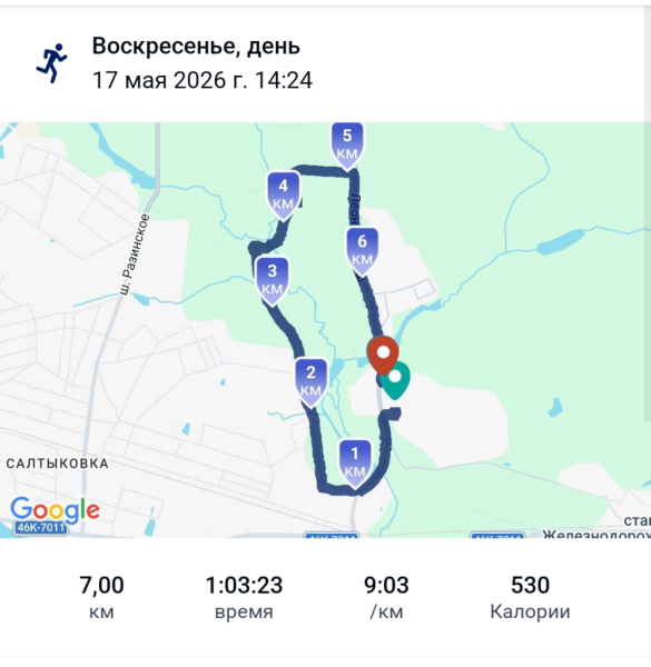 Пробежка 17 мая 2026