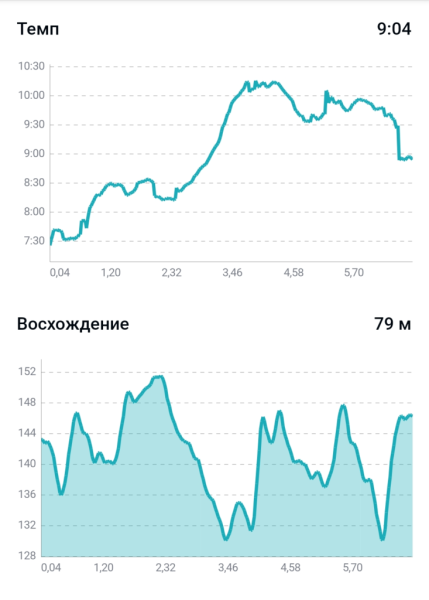 Пробежка 31 мая 2026