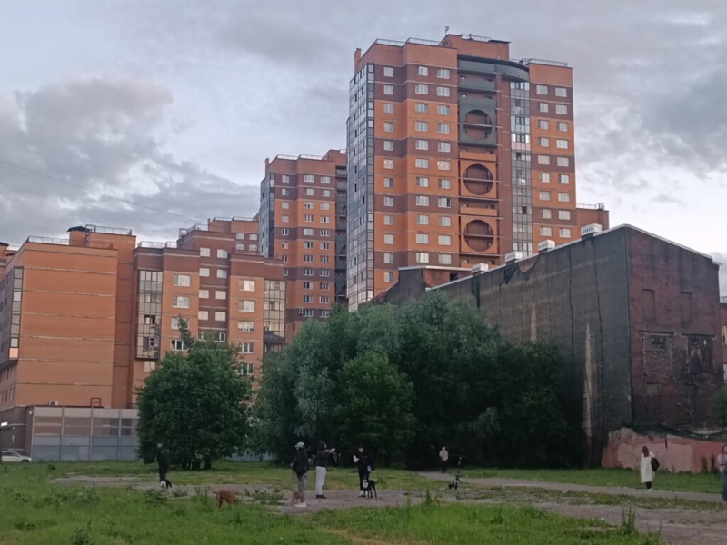 Собачий клуб на Шкапина 19 июня 2026