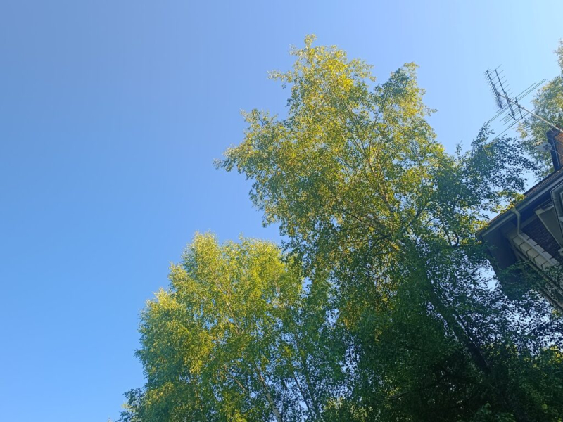 Sunday в Sunny Way