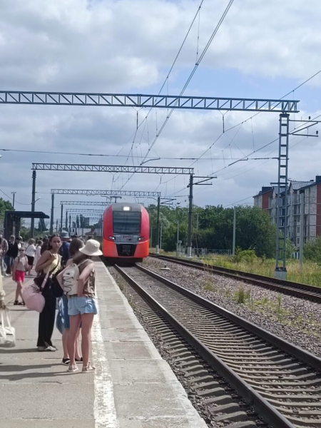 Едем в Светлогорск 19 июля 2026