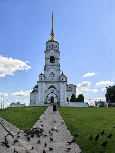 Голубцов кормят 10 августа 2026