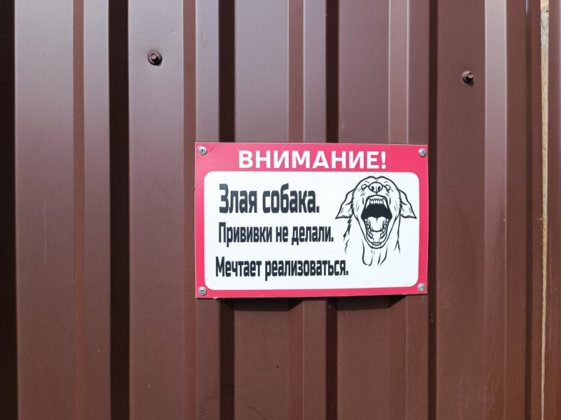 Я на танцевальном фестивале 28 августа 2022 в Балашихе