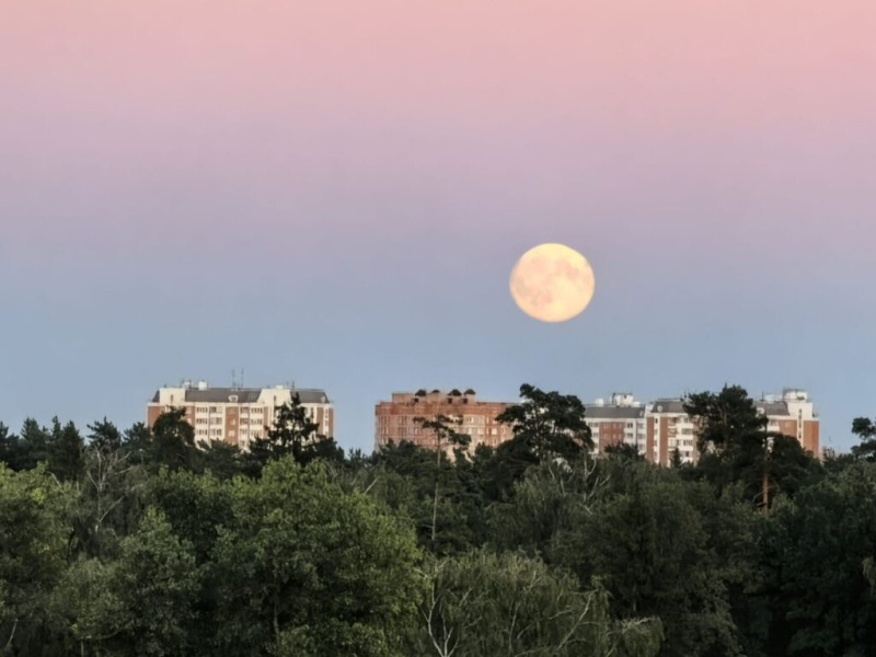 Луна над Кучино