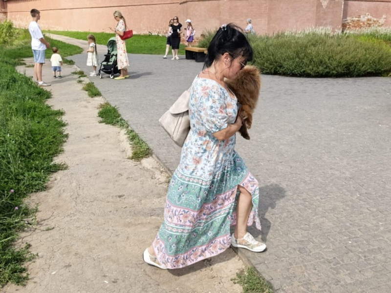 Туристы путешествуют с собачками 6 августа 2026
