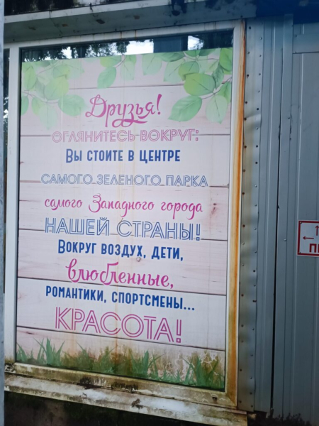 В парке Калининграда 20 июля 2026