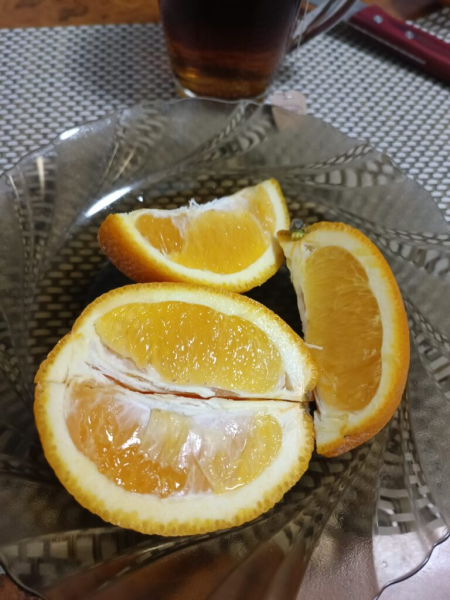 Вечерние вкусняшки 15 июля 2026