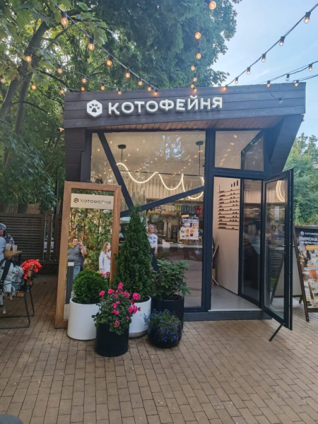 Зеленоградская кототема 17 июля 2026