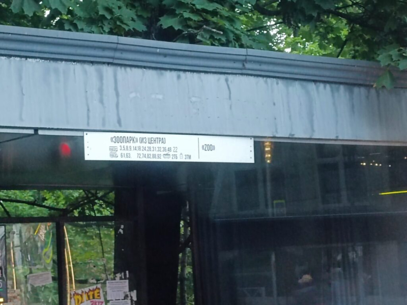 Zoo 20 июля 2026