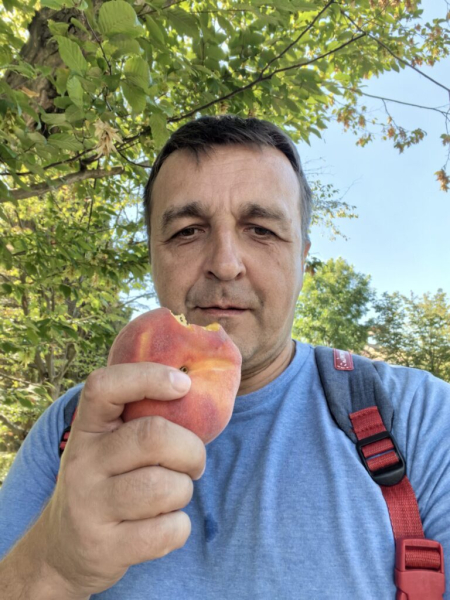Ем персик, наблюдаю белочку. 9 сентября 2026