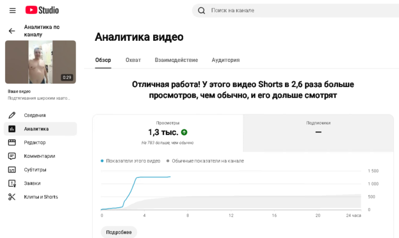 Мои подтягули популярны на Youtube