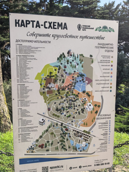 В дендрарии 7 сентября 2026