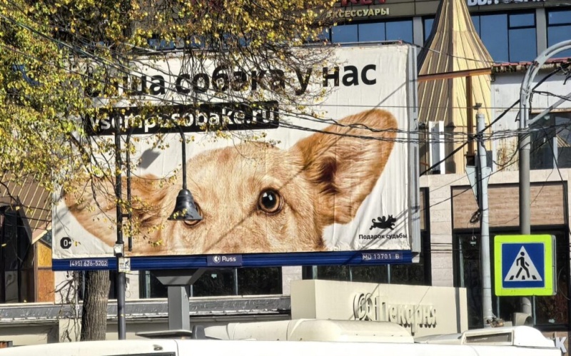 Инга Inc. 30 сентября 2026