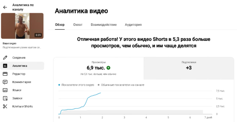 Мои подтягули популярны