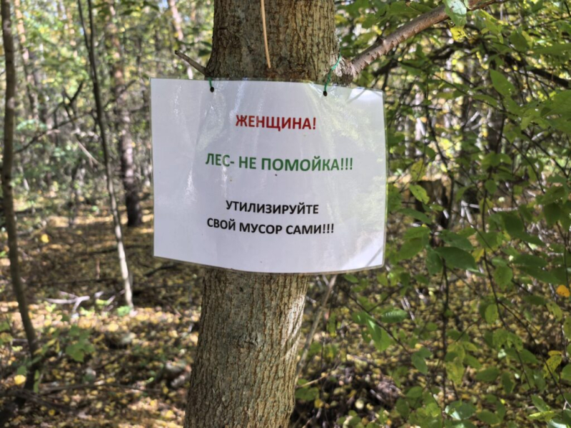 На пробежке 1 октября 2026