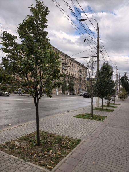 Волгоград скован в камень 13 октября 2026